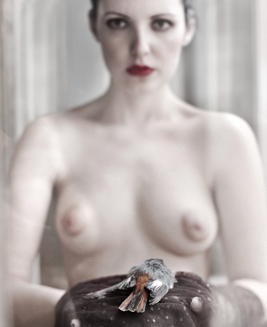 Renata Vogl Bird